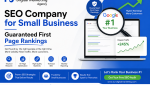 Digital Marketing Agency for Small Business